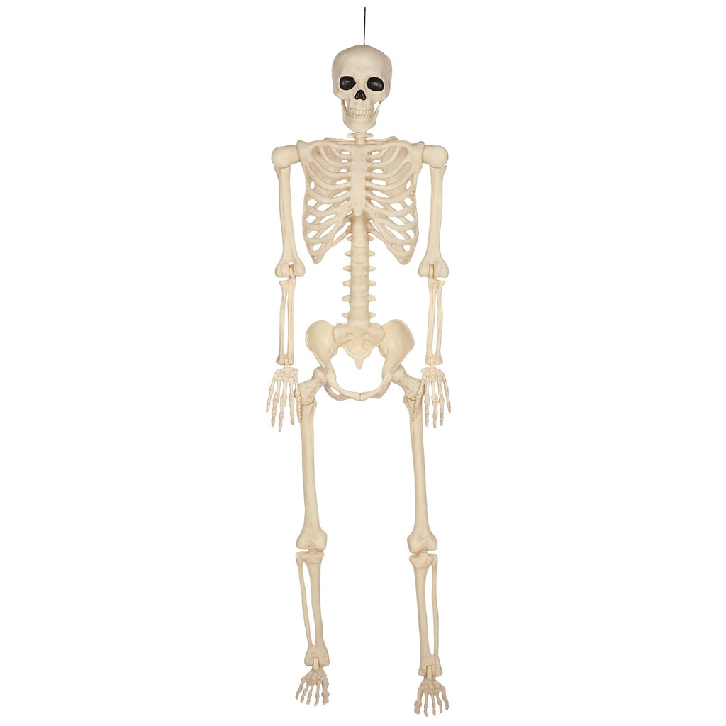 5 Ft Life-Size Full Body Skeletons X461