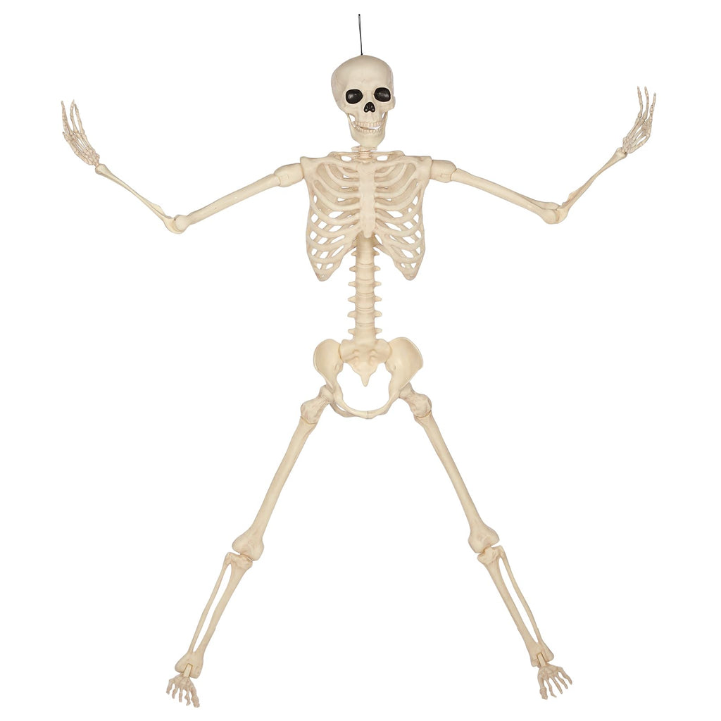 5 Ft Life-Size Full Body Skeletons X461