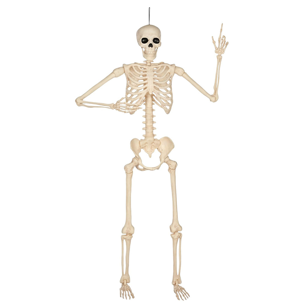 5 Ft Life-Size Full Body Skeletons X461