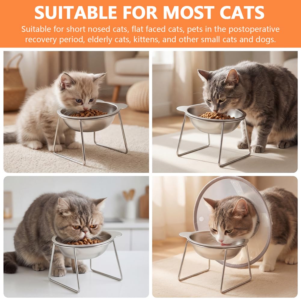 2 Pack Stainless Steel Elevated Cat Bowls Z263003
