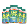 Hemp Gummy 5 Pack 300 Gummies Z225868