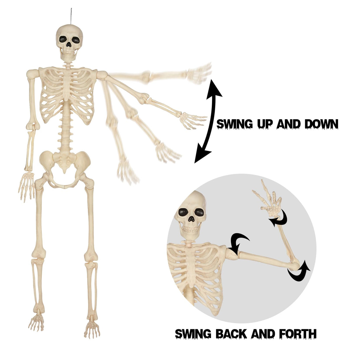 5 Ft Life-Size Full Body Skeletons X461