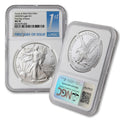 1 oz American Silver Eagle Coin O4272