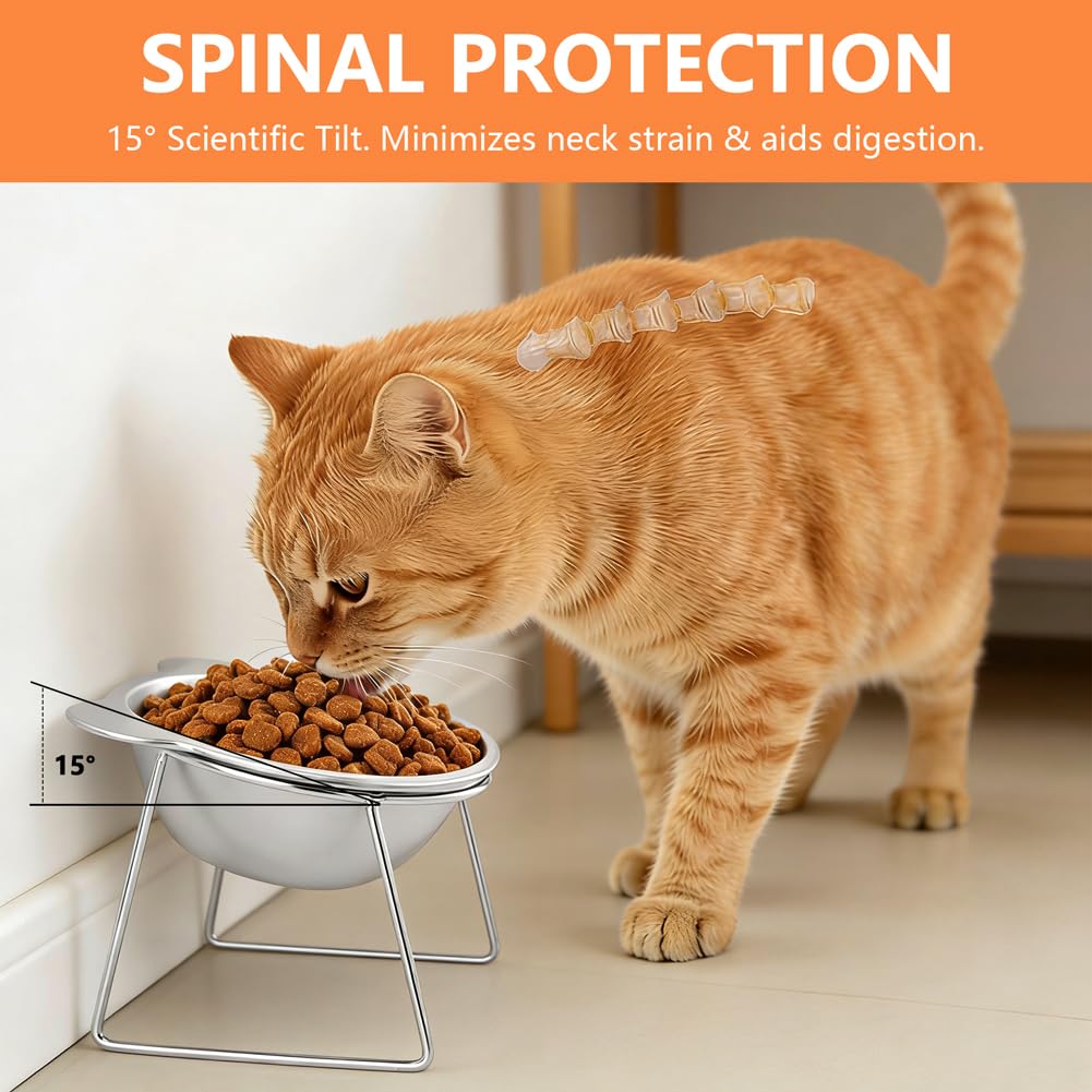 2 Pack Stainless Steel Elevated Cat Bowls Z263003