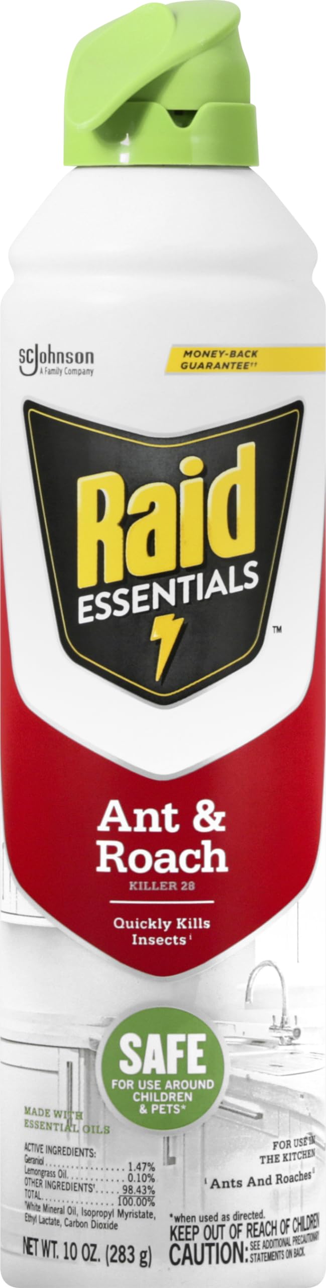 Ant & Roach Killer Aerosol Spray 10 oz B518