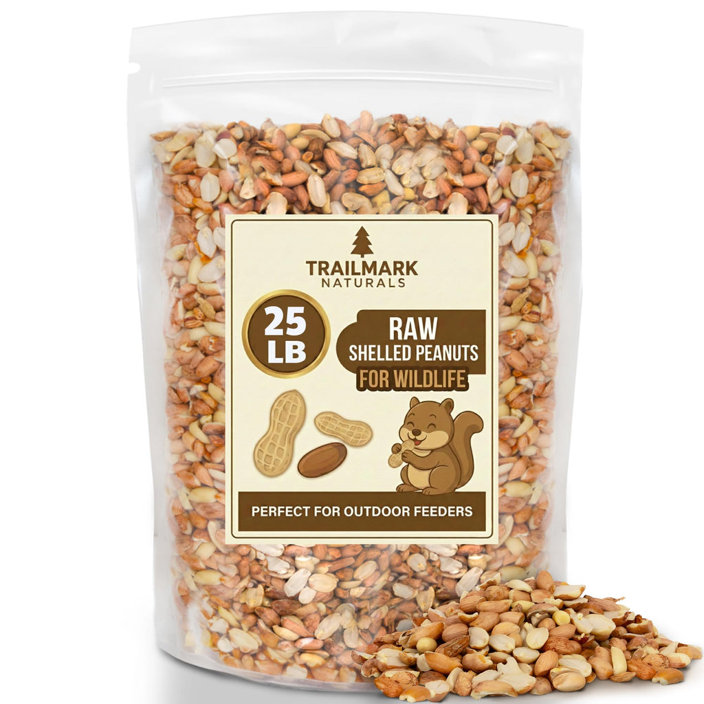 Raw Shelled Peanuts 25 LB F375410