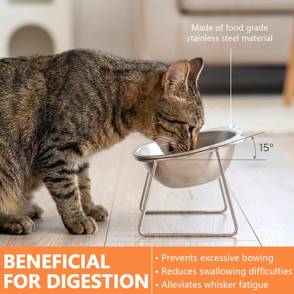 2 Pack Stainless Steel Elevated Cat Bowls Z263003