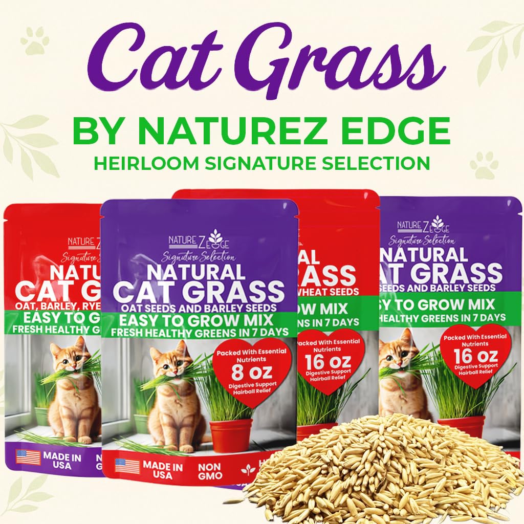 Cat Grass & Catnip Seeds 3 Pack Variety Kit W686353