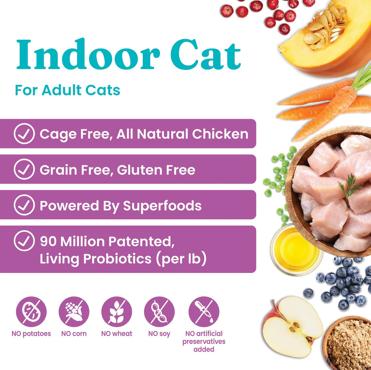 Solid Gold Dry Cat Food Chicken 6lb Wet Cat Food Variety Pack 12 Pack B415632