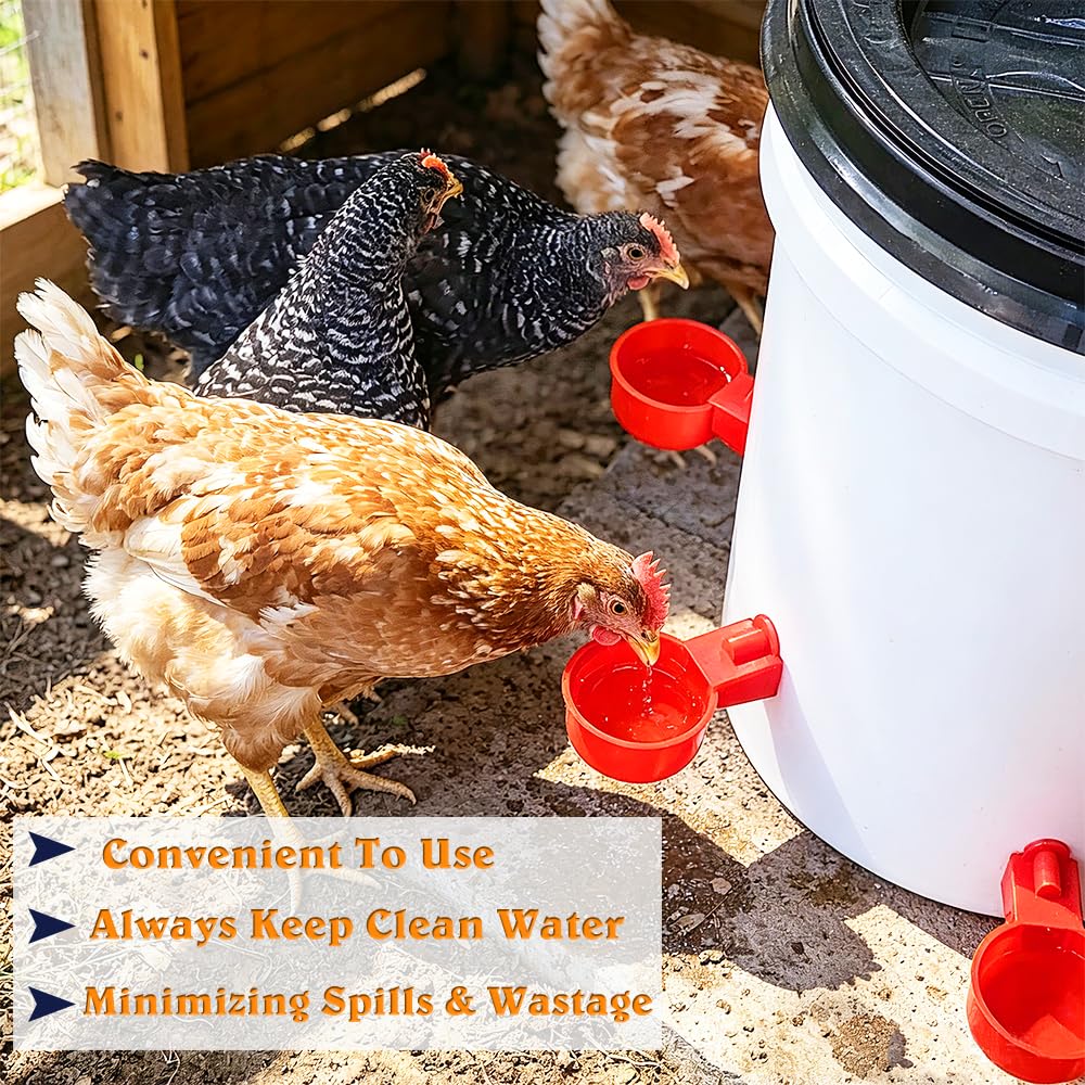 Automatic Poultry Waterer Cups H60557