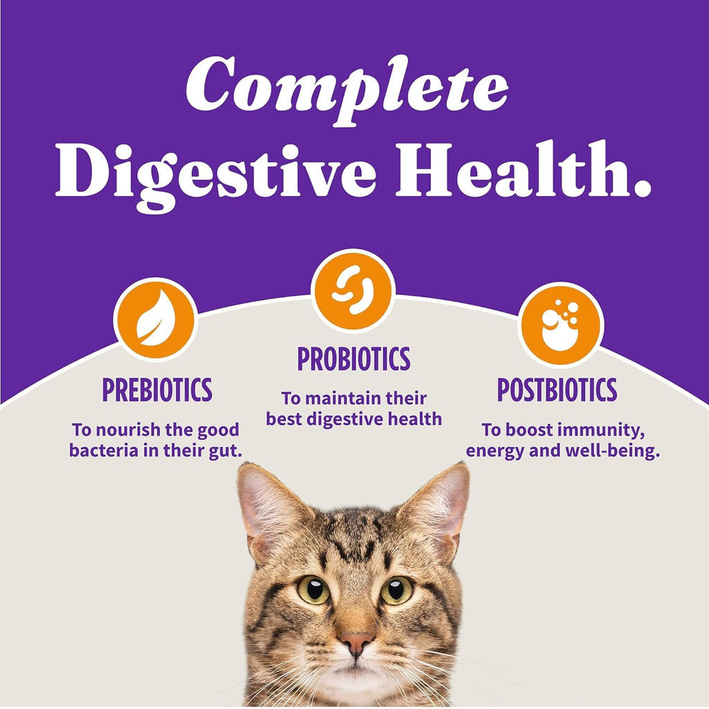 Dry Cat Food 3 lb O888