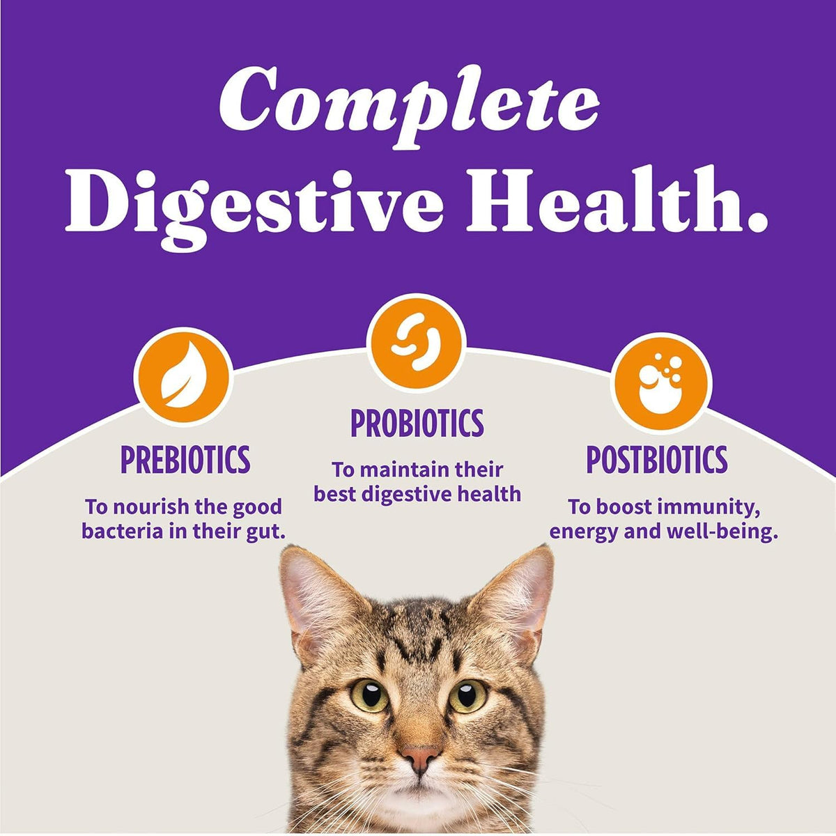 Dry Cat Food 3 lb O888