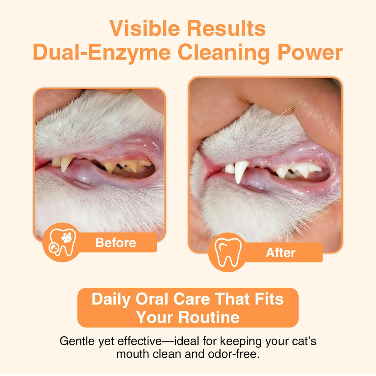Roast Chicken Flavor Enzymatic Cat Toothpaste Kit with Toothbrush & Finger Brush, 1.06 oz L72624