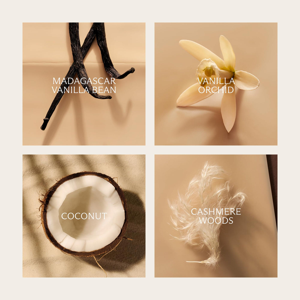 Madagascar Vanilla J733727