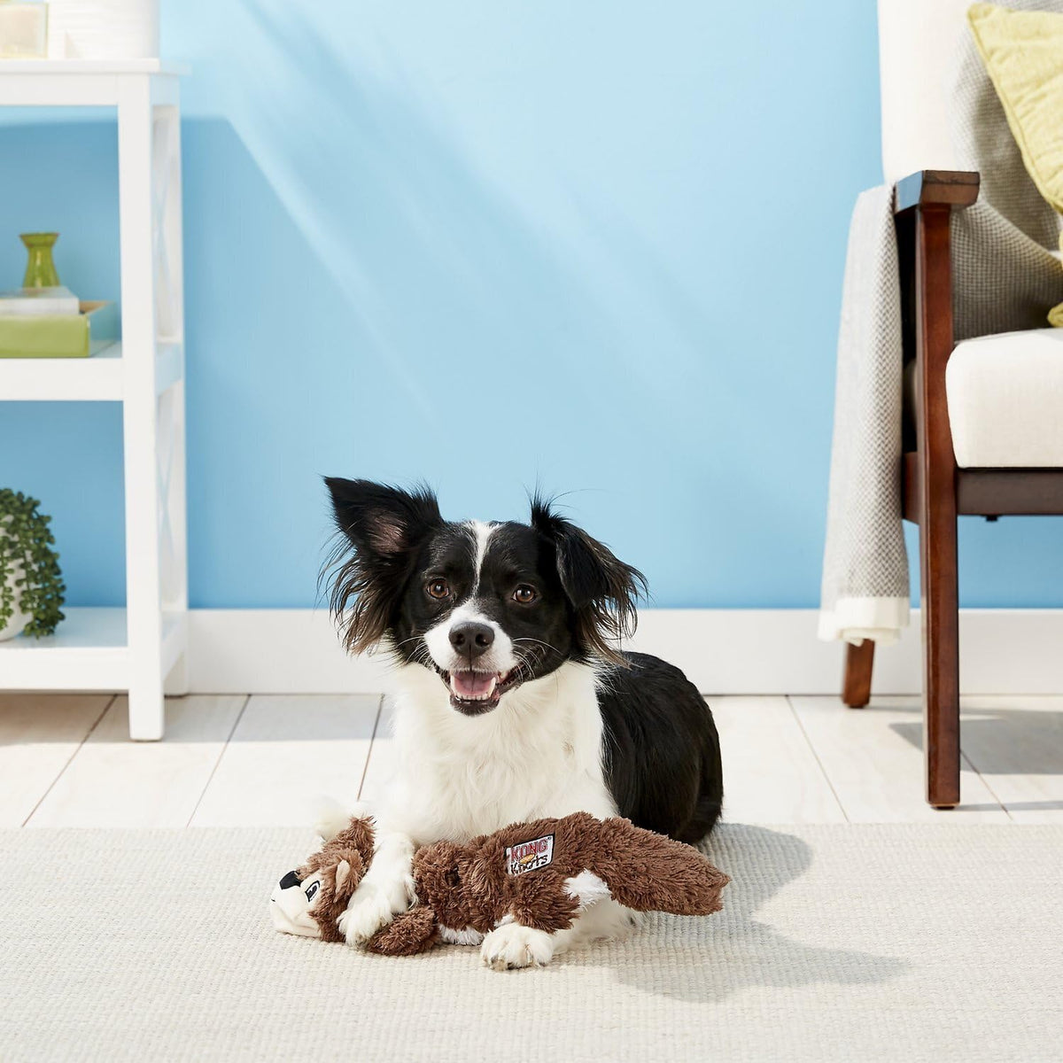 2 Pack Stuffing-Free Plush Dog Toy with Knotted Ropes & Squeaker A926524