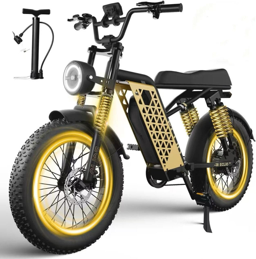 Peak 1200W 20MPH 48V 13Ah Electric Bike P210265