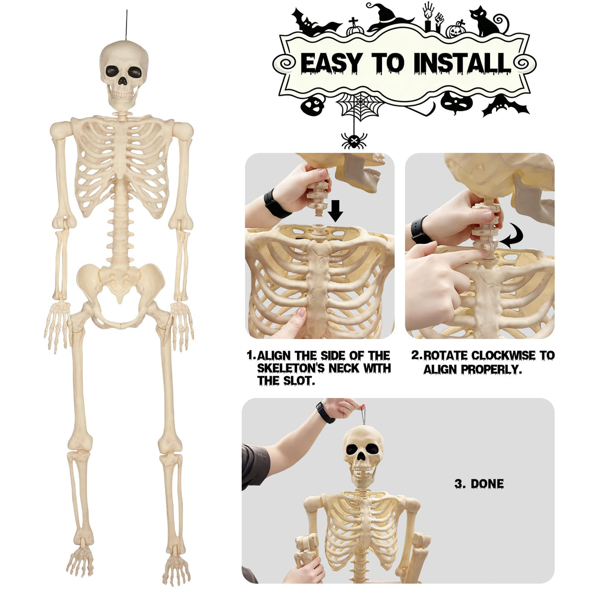 5 Ft Life-Size Full Body Skeletons X461