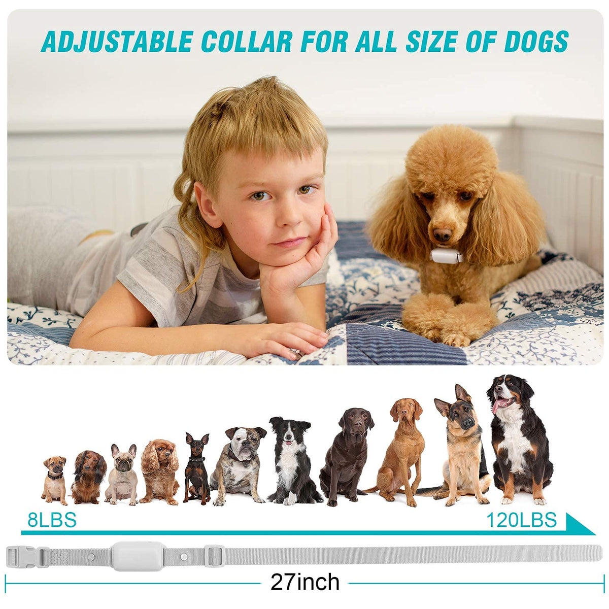 Waterproof Rechargeable Dog Training Collar with Remote D448358