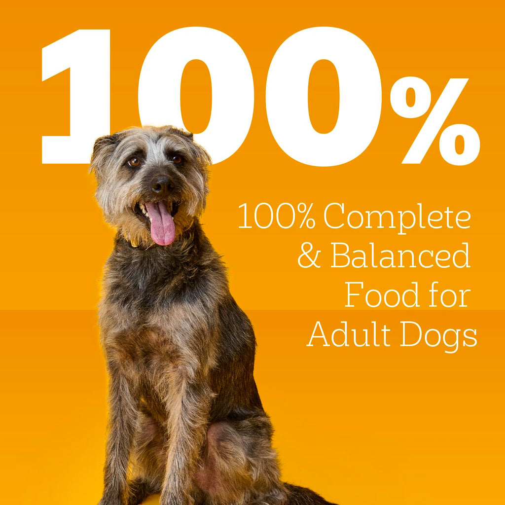 Beef Ground Dinner Wet Dog Food 13.2 oz 12 Count A787911
