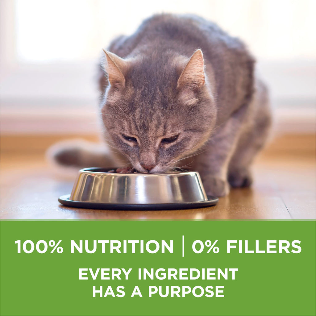 Indoor Weight Control Dry Cat Food 16 lb Bag N78197