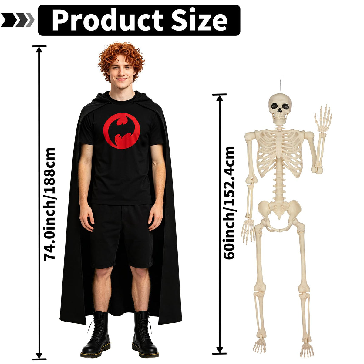 5 Ft Life-Size Full Body Skeletons X461