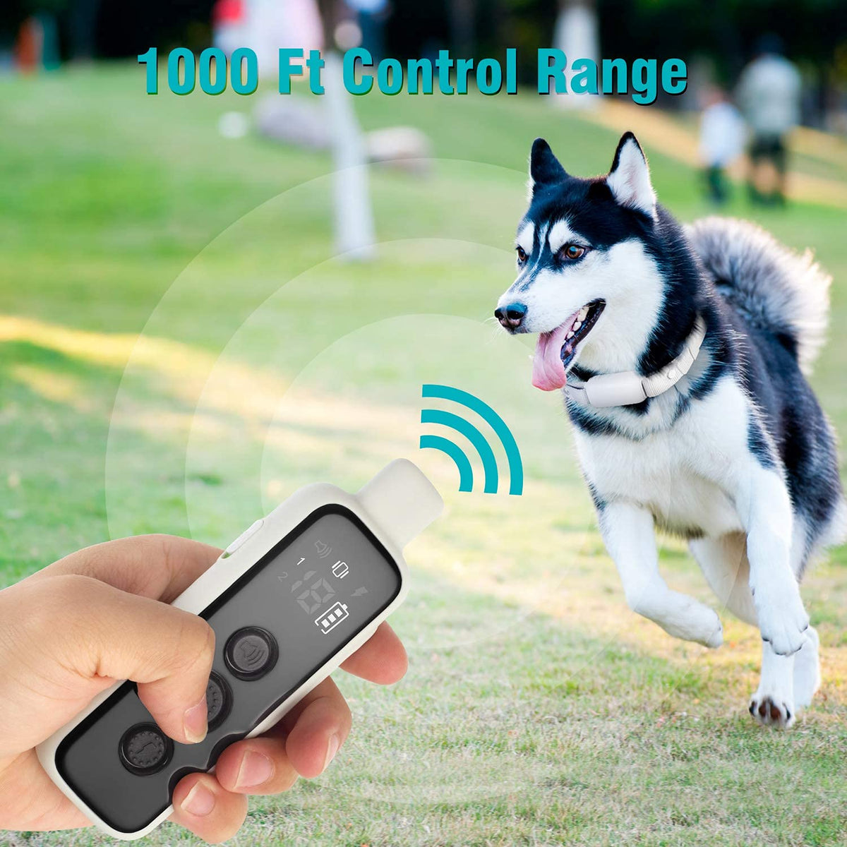 Waterproof Rechargeable Dog Training Collar with Remote D448358