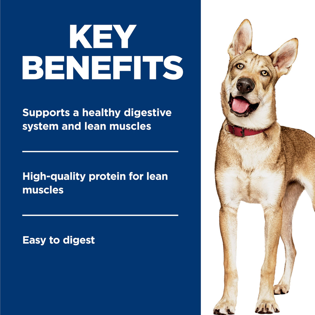 Wet Dog Food H4760