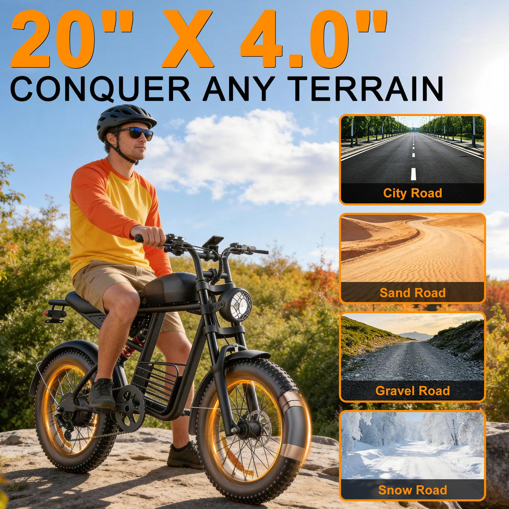 1000W Peak Motor 20" Fat Tire Electric Bike B129