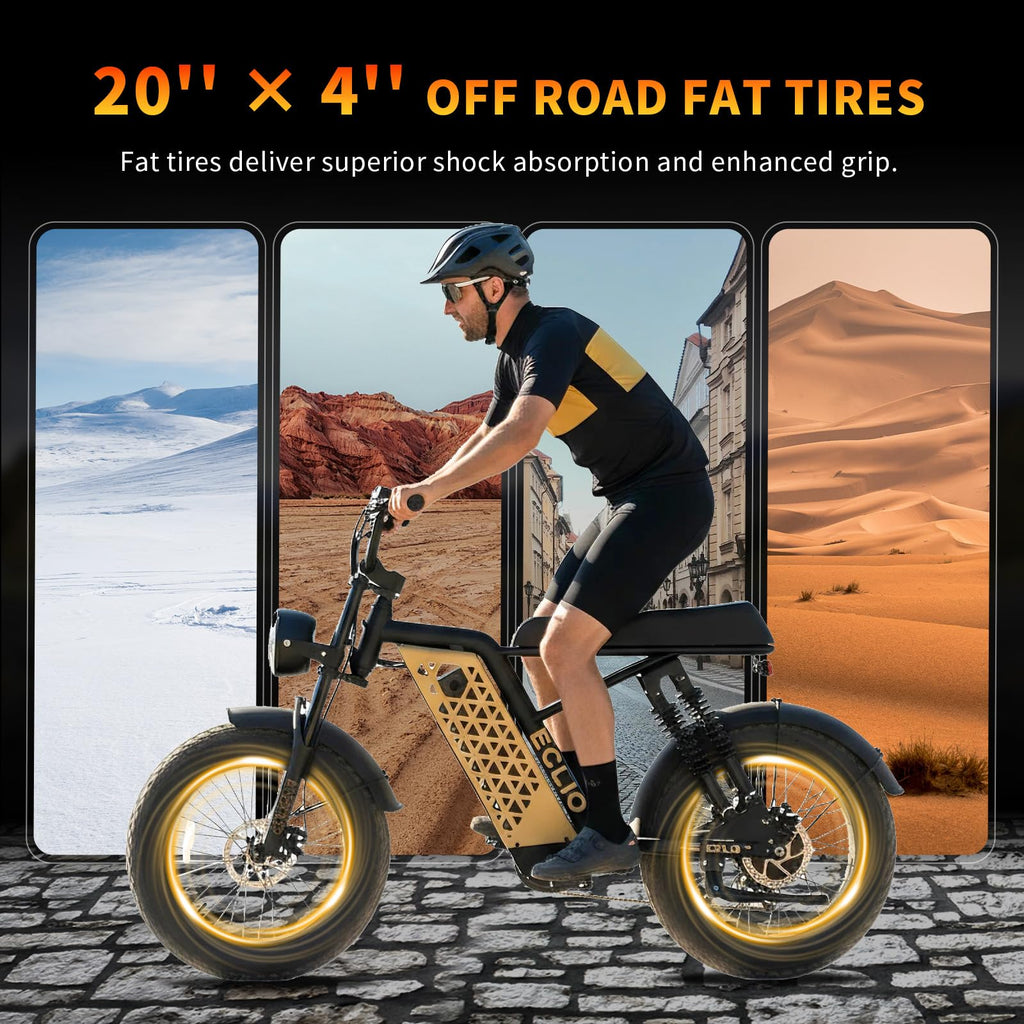 Peak 1200W 20MPH 48V 13Ah Electric Bike P210265