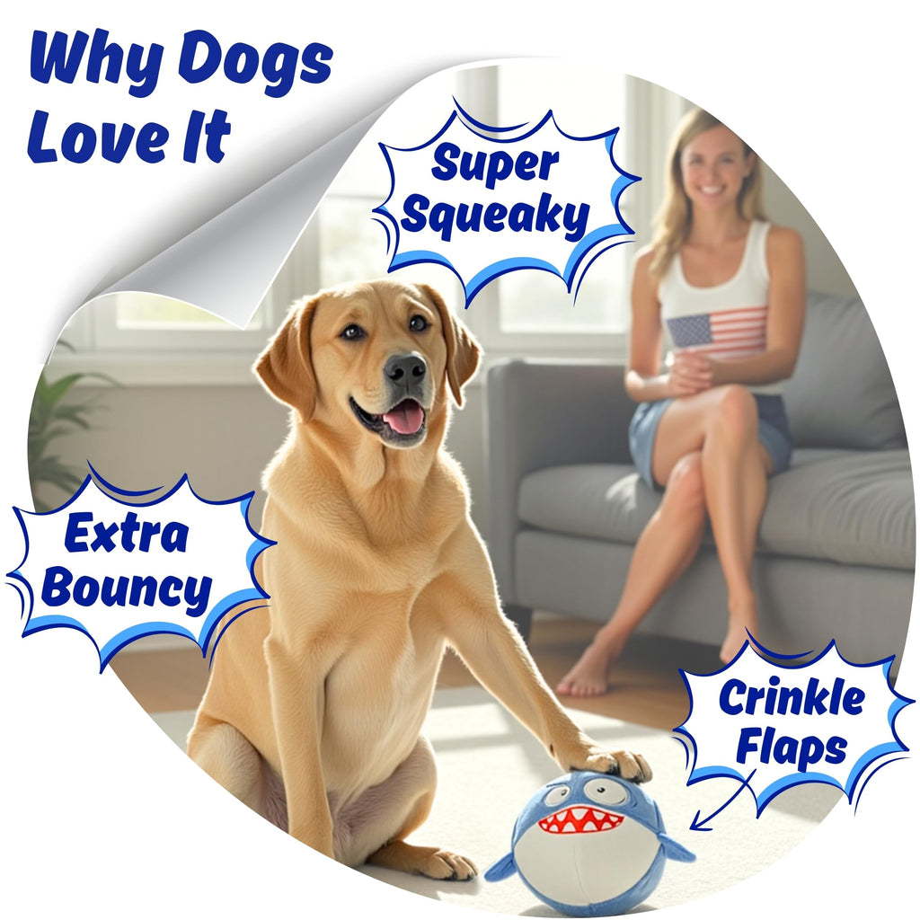 Tough Squeaky Chew Ball Dog Toy P837