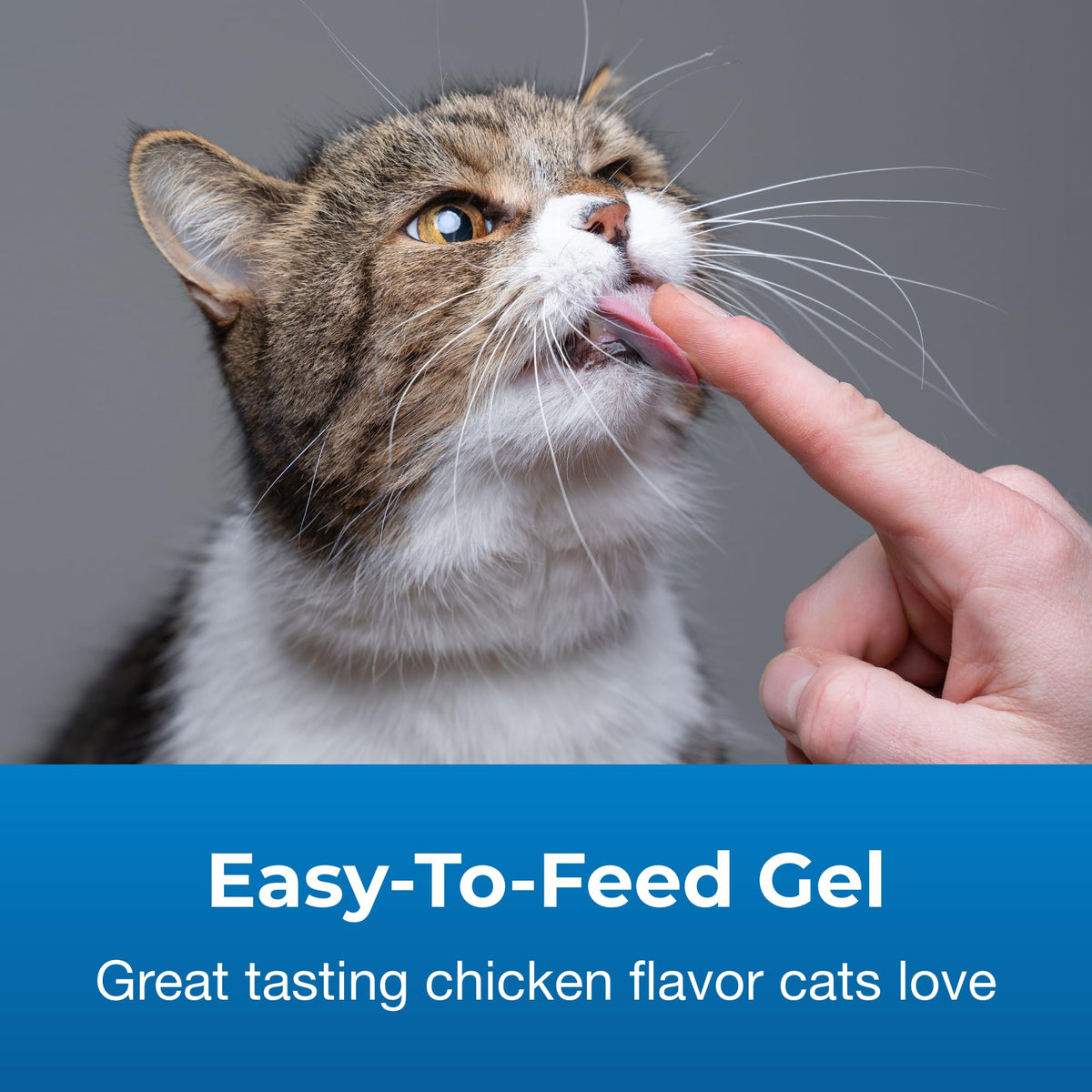Hairball Solution Gel Supplement for Cats 3.5 oz Z73091