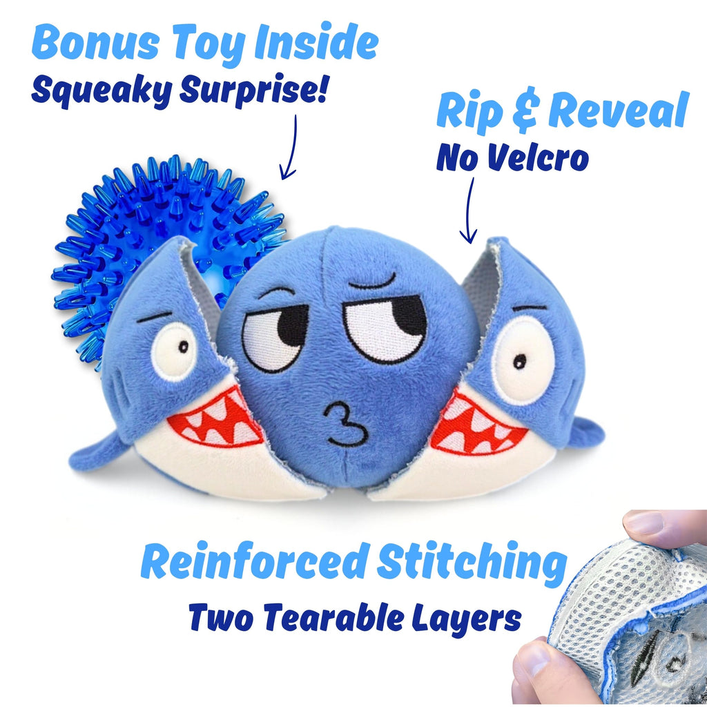 Tough Squeaky Chew Ball Dog Toy P837