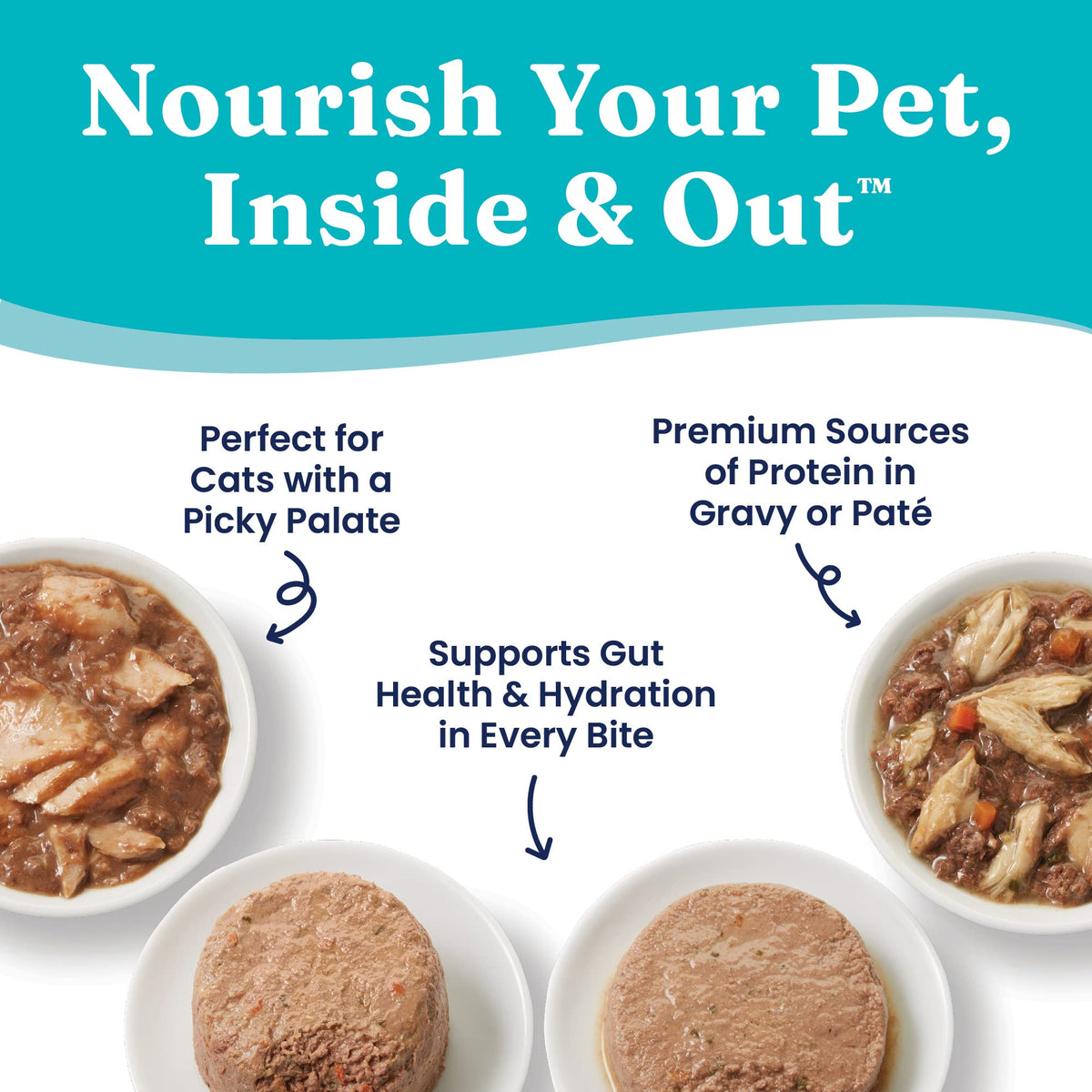 Solid Gold Dry Cat Food Chicken 6lb Wet Cat Food Variety Pack 12 Pack B415632