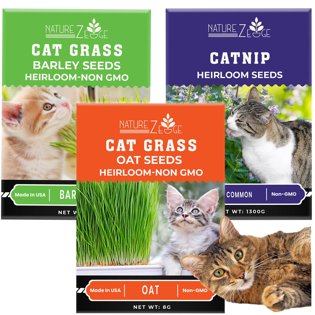 Cat Grass & Catnip Seeds 3 Pack Variety Kit W686353