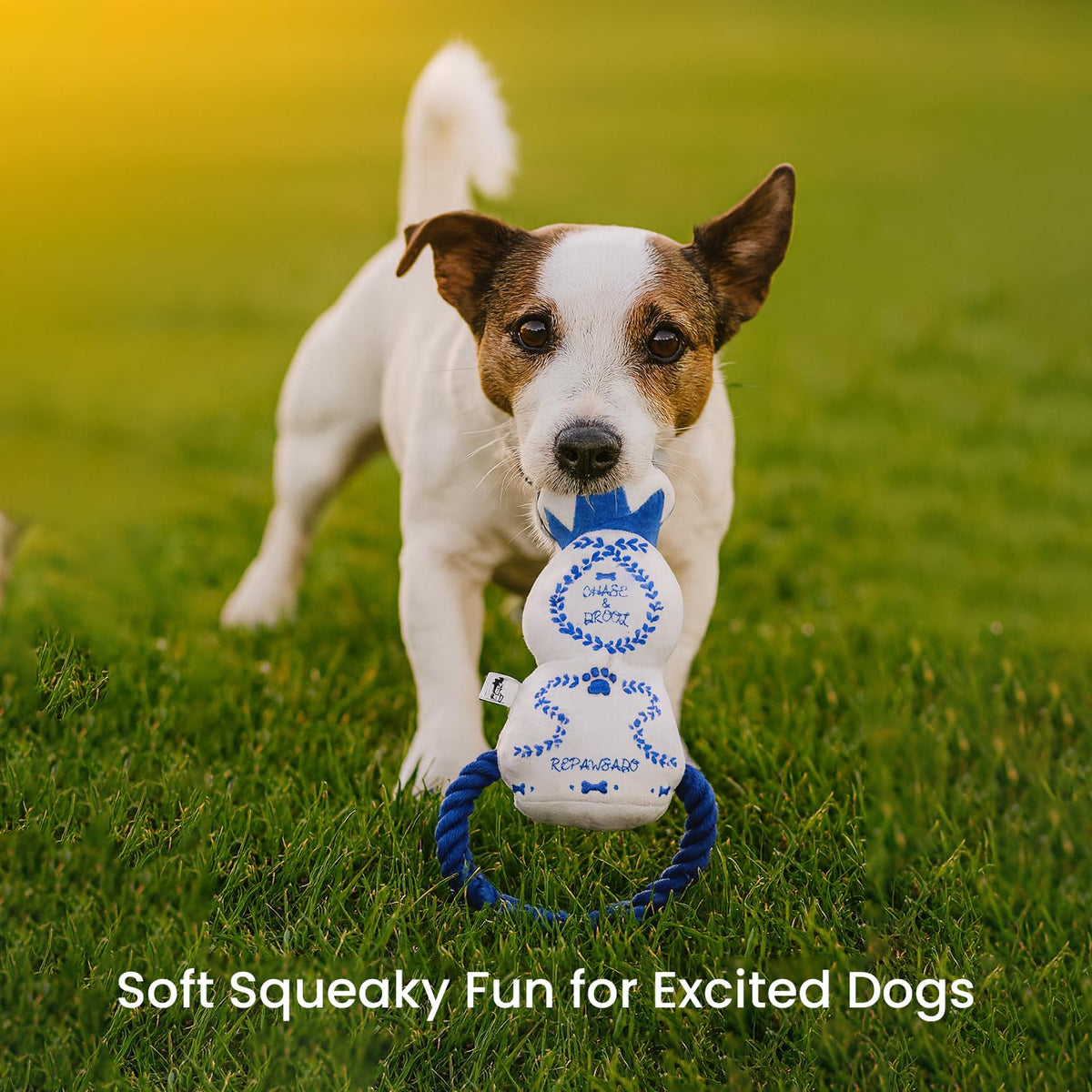 Plush Squeaky Crinkle Dog Toy N163010
