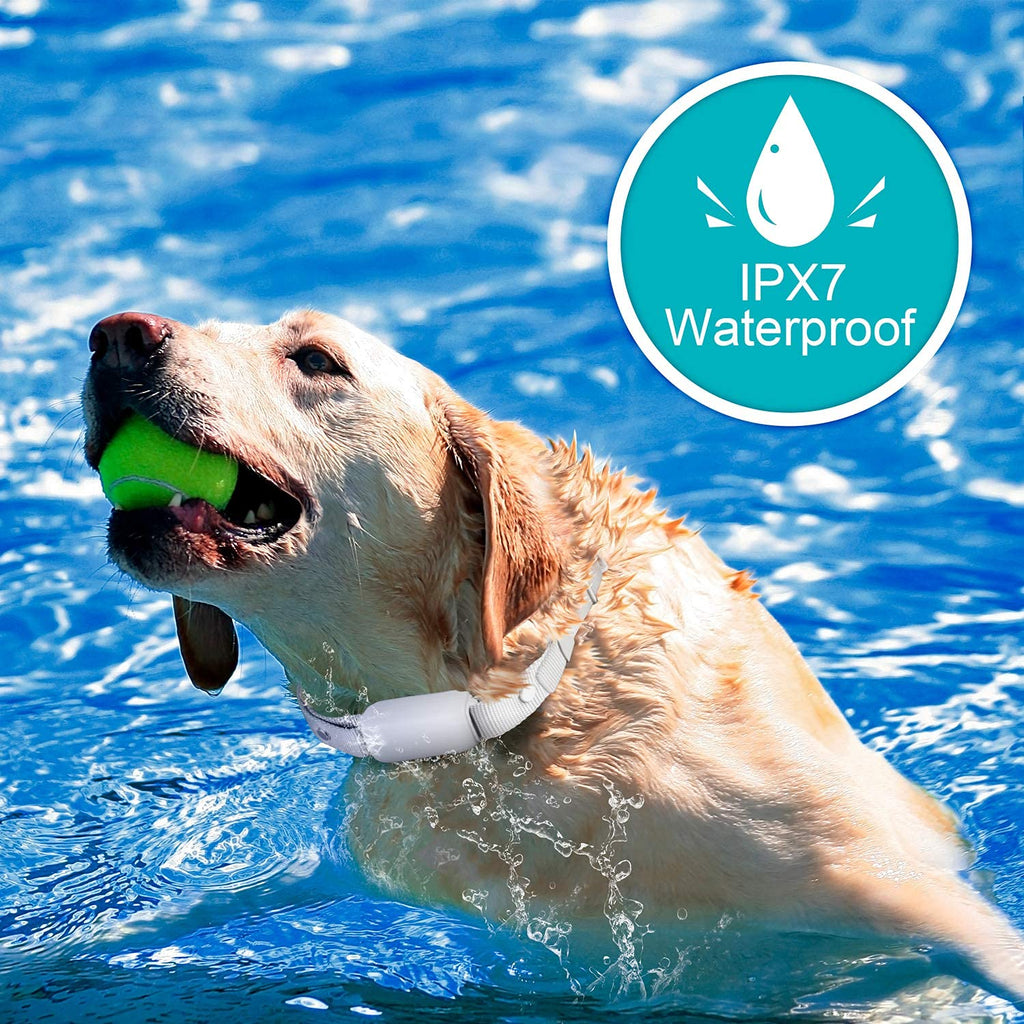 Waterproof Rechargeable Dog Training Collar with Remote D448358