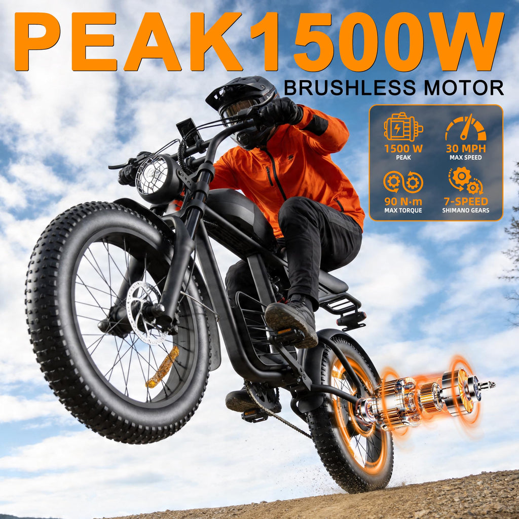 1000W Peak Motor 20" Fat Tire Electric Bike B129