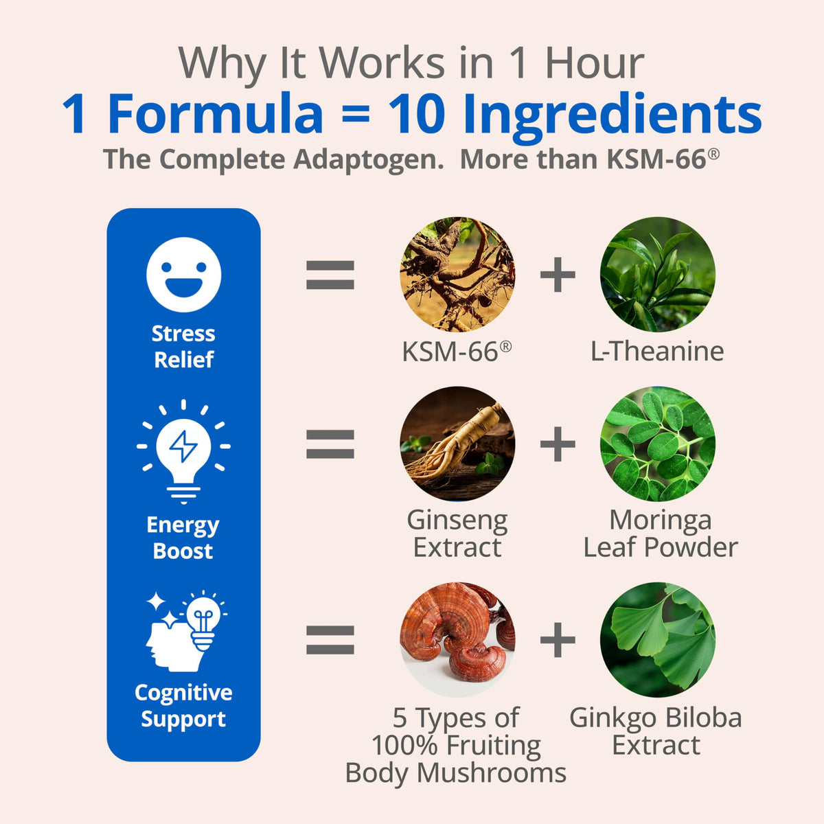 Ashwagandha Supplements J274
