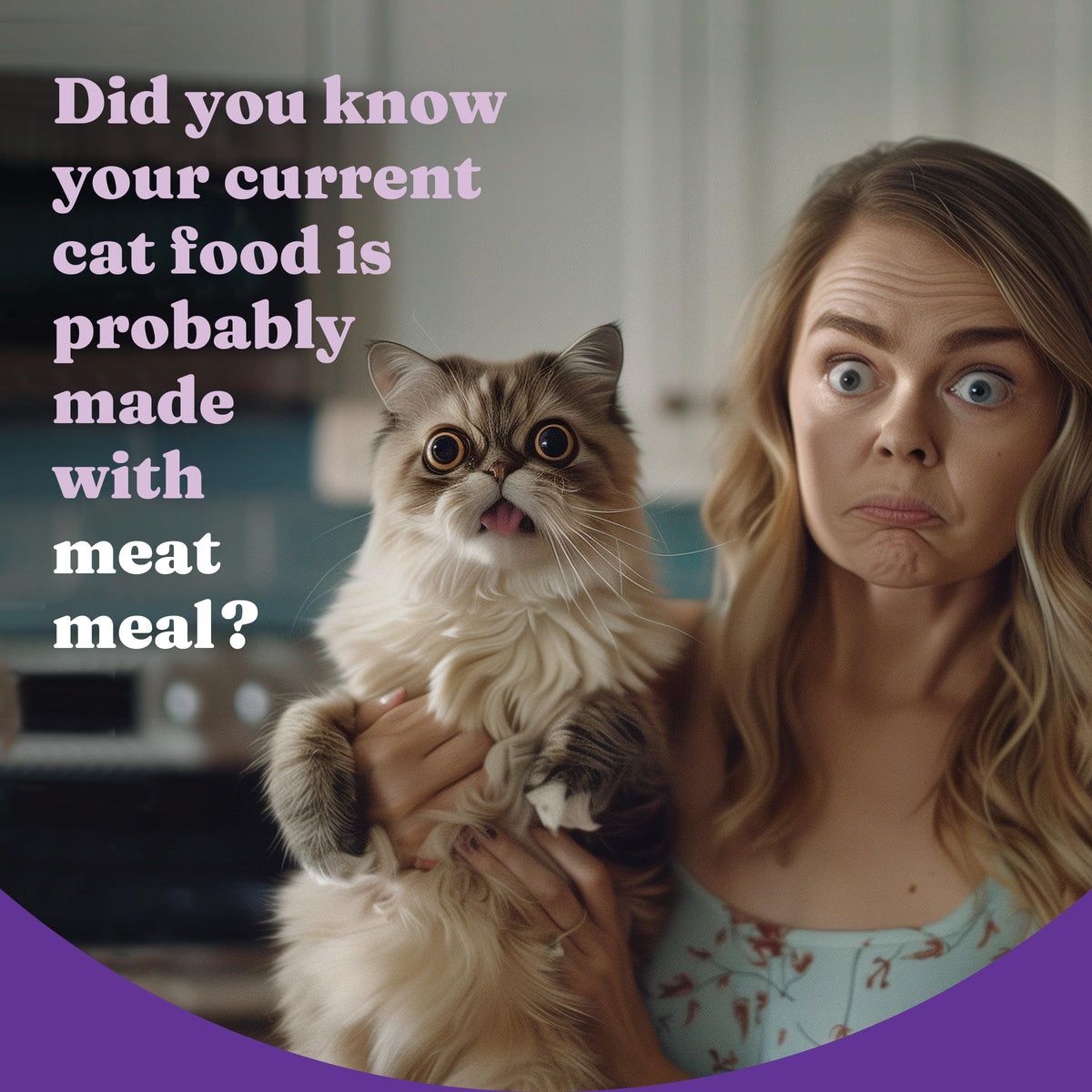 Dry Cat Food 3 lb O888