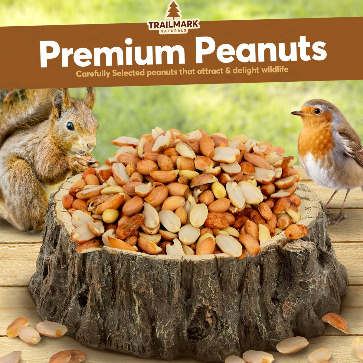 Raw Shelled Peanuts 25 LB F375410