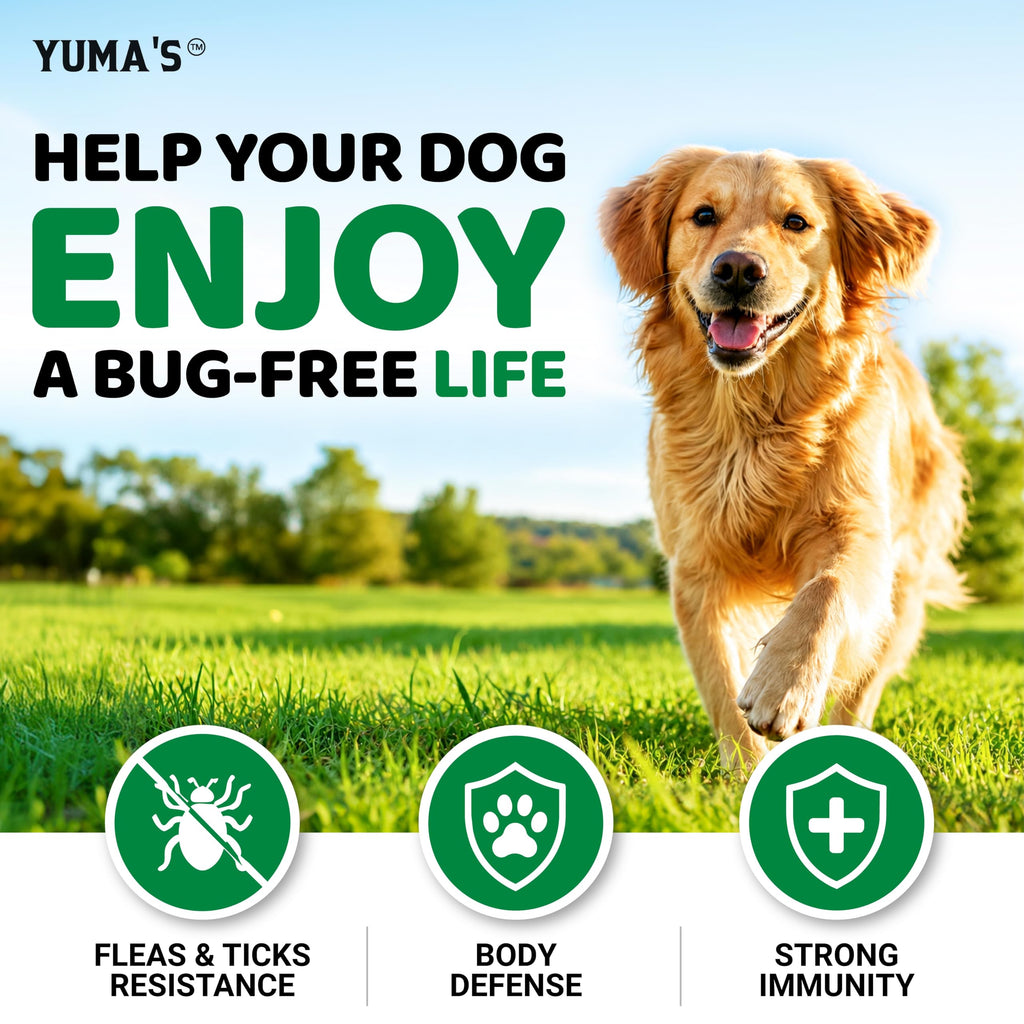 Natural Oral Flea and Tick Prevention for Dogs, 170 Chews P781195